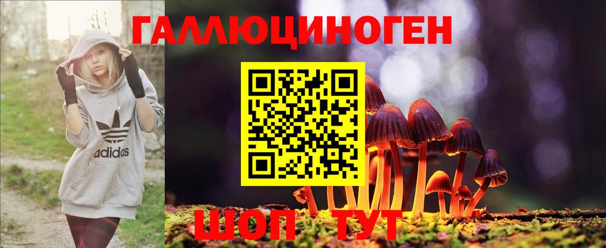 Псилоцибиновые грибы GOLDEN TEACHER Шелехов