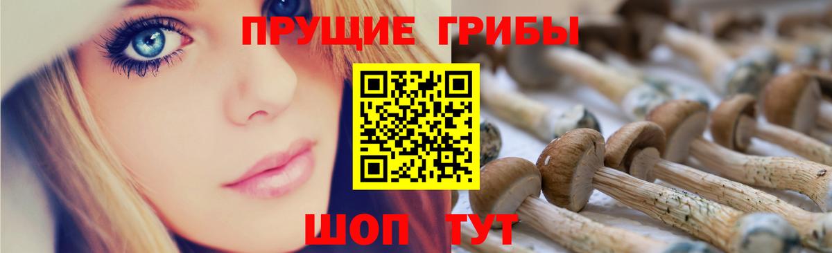 Шелехов  Псилоцибиновые грибы MAGIC MUSHROOMS  Вход с VPN 